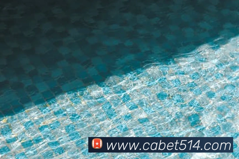 ca亚洲城发展历程